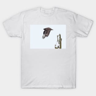 Rough-legged Hawk T-Shirt